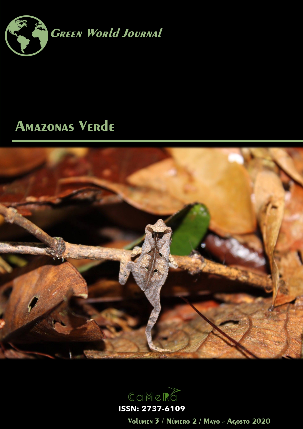 Amazonas Verde: Biodiversidad y Conservación
